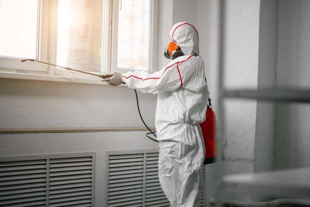 Professional mold remediation services in Glenview, IL